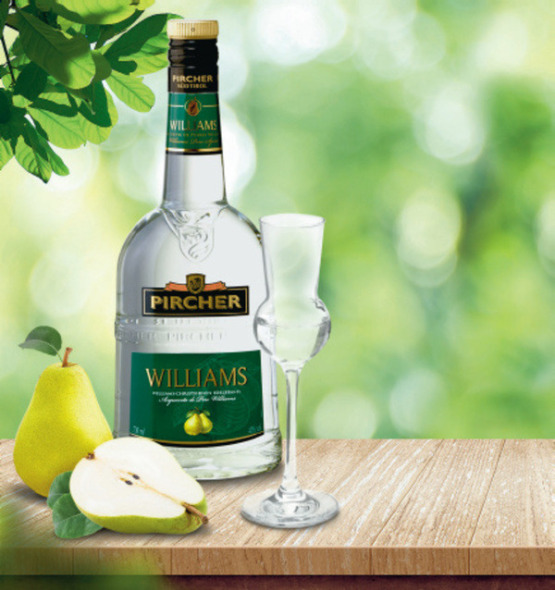 Williams Pircher, Ana Trade Poreč